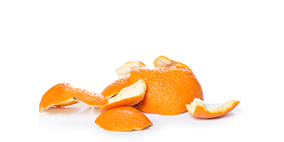 Coagrosol Subprodutos C�tricos Baga�o (Orange Peel)